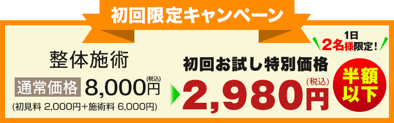初回お試し特別価格 2980円